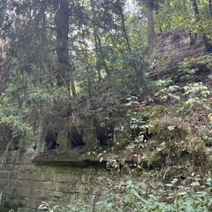 22-07-30 12-38-00 1747